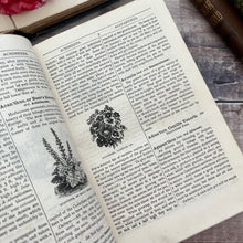 Load image into Gallery viewer, 1897 Beeton's New Dictionary of Every-day Gardening; Victorian Illustrated Book
