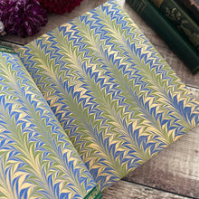 Load image into Gallery viewer, The Hillier Book of Garden Planting Finely Bound Full Leather Book with Slipcase
