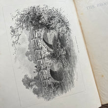Load image into Gallery viewer, The Brook and Its Banks by J G Wood Natural History Illustrated Book (E)
