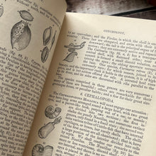 Load image into Gallery viewer, 1859 The Young Lady's Book; A Manual of Elegant Recreations, Arts, Sciences and Accomplishments
