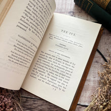 Load image into Gallery viewer, Rare Flowers Their Use and Beauty Language and Sentiment Victorian Illustrated Book
