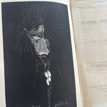 Load image into Gallery viewer, 1880 Ponds and Ditches; Natural History Rambles Illustrated Victorian Book
