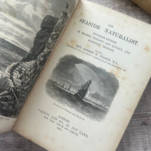 Load image into Gallery viewer, 1868 The Seaside Naturalist by Rev Robert Fraser; Mid Victorian Illustrated Natural History Book
