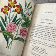 Load image into Gallery viewer, Early Victorian Language of Flowers; With Hand Coloured Plates
