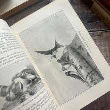 Load image into Gallery viewer, 1895 Country Pastimes for Boys Illustrated Nature Book
