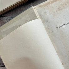 Load image into Gallery viewer, 1913 Wild Life on the Wing by M.D.Haviland; Illustrated Antique Bird Book

