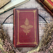 Load image into Gallery viewer, British Ferns and their Allies by Thomas Moore Mid Victorian Book with Colour Plates
