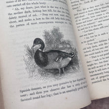 Load image into Gallery viewer, 1847 My Own Annual; A Gift Book for Boys and Girls Early Victorian Illustrated
