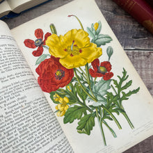 Load image into Gallery viewer, Flowers Plants Of Great Britain by Anne Pratt Volume One Half Morocco Binding
