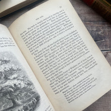 Load image into Gallery viewer, Beauties and Wonders of Vegetable Life; 19th Century Illustrated Book
