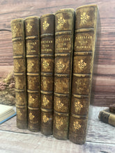 Load image into Gallery viewer, Familiar Wild Flowers Five Volumes; Half Leather Illustrated Set

