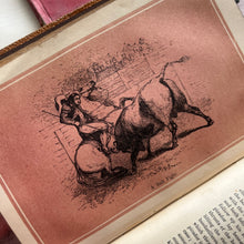 Load image into Gallery viewer, Popular Natural History and Characteristics of Animals by Captain Thomas Brown
