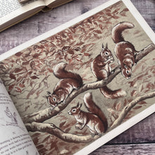 Load image into Gallery viewer, The Hole and Corner Book; Verses by B Parker and Illustrations by N Parker; Early 20th Century Book
