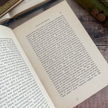 Load image into Gallery viewer, Muriel or Ways and Means by M Vandegrift; Late Victorian Pictorial Floral Binding
