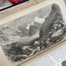 Load image into Gallery viewer, 1870 Alpine Flowers for English Gardens by W Robinson; Illustrated Victorian Book
