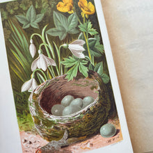 Load image into Gallery viewer, 1887 Sylvan Spring by Francis George Heath; Illustrated with Colour Plates (e)
