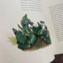 Load image into Gallery viewer, 1860 Common Wayside Flowers Illustrated by Birket Foster FIRST EDITION
