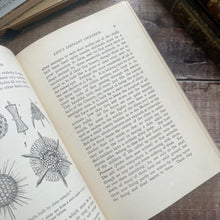 Load image into Gallery viewer, 1929 Life and Her Children by Arabella Buckley Illustrated Book
