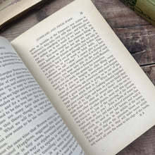 Load image into Gallery viewer, 1880 The Fairy-Land of Science by Arabella Buckley; Illustrated Nature Book
