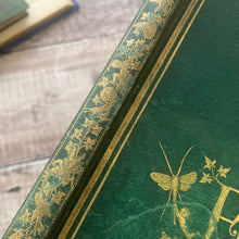 Load image into Gallery viewer, 1870 Rare First Edition of Fairyland; Pictures from the Elf World by Richard Doyle
