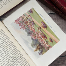 Load image into Gallery viewer, 1910 The Ideal Garden by HH Thomas Late Edwaridan Fine Cloth Binding
