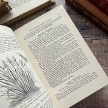 Load image into Gallery viewer, Hardy Perennials and Old Fashioned Garden Flowers Late Victorian Antique Book
