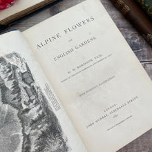 Load image into Gallery viewer, 1870 Alpine Flowers for English Gardens by W Robinson; Illustrated Victorian Book
