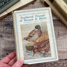 Load image into Gallery viewer, Feathered Friends of Stream and Shore by Eleanor E Helme; With Dust Jacket
