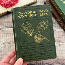 Load image into Gallery viewer, 1904 Wayside and Woodland Trees; A Pocket Guide to the British Sylva
