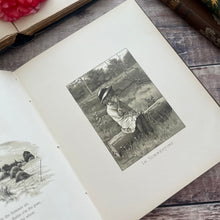 Load image into Gallery viewer, Through the Year; Spring, Summer, Autumn and Winter; Beautiful Illustrated Book
