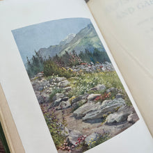 Load image into Gallery viewer, 1910 Alpine Flowers and Gardens Painted and Described Antique Book
