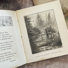 Load image into Gallery viewer, Two Nature Poetry Booklets ... Forest Echoes and Falling Leaves

