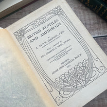 Load image into Gallery viewer, 1913 Reptiles and Amphibians by A Nicol Simpson; Peeps at Nature Series First Edition
