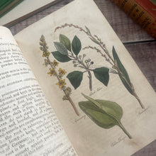 Load image into Gallery viewer, Early 1800's The Family Herbal by Sir John Hill; With Hand Coloured Plates
