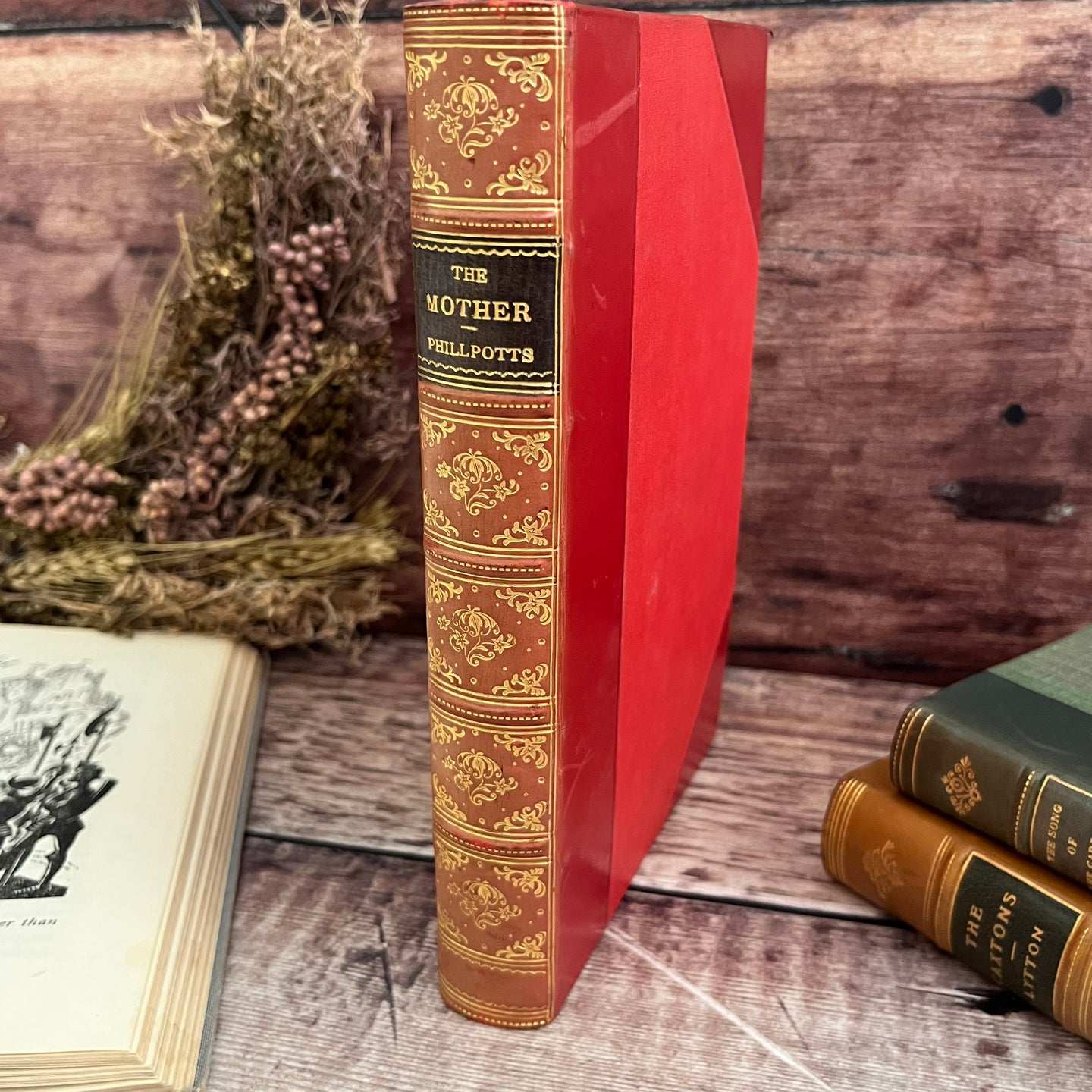 The Mother by Eden Phillpotts Half Calf Leather Antique Book Marbled