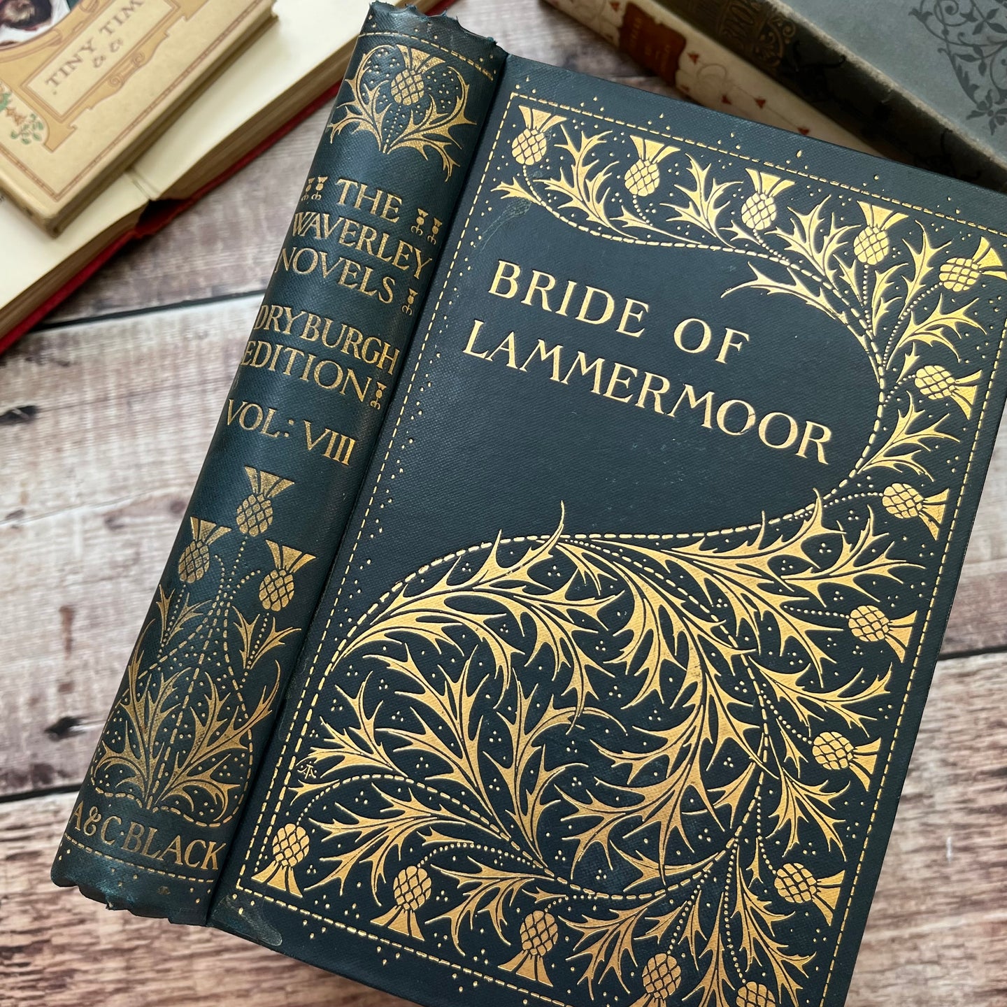 1893 Bride of Lammermoor by Sir Walter Scott Beautiful Cloth Victorian Binding