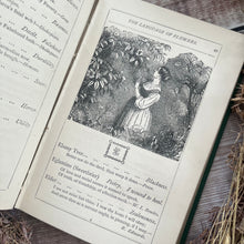 Load image into Gallery viewer, The Language of Flowers; Late Victorian Illustrated Book
