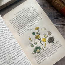 Load image into Gallery viewer, 1847 Ladies Botany A Familiar Introduction to the Study of Botany; Full Calf Leather
