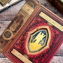 Load image into Gallery viewer, Oliver Goldsmith's Poetical and Prose Works; Victorian Cloth Binding
