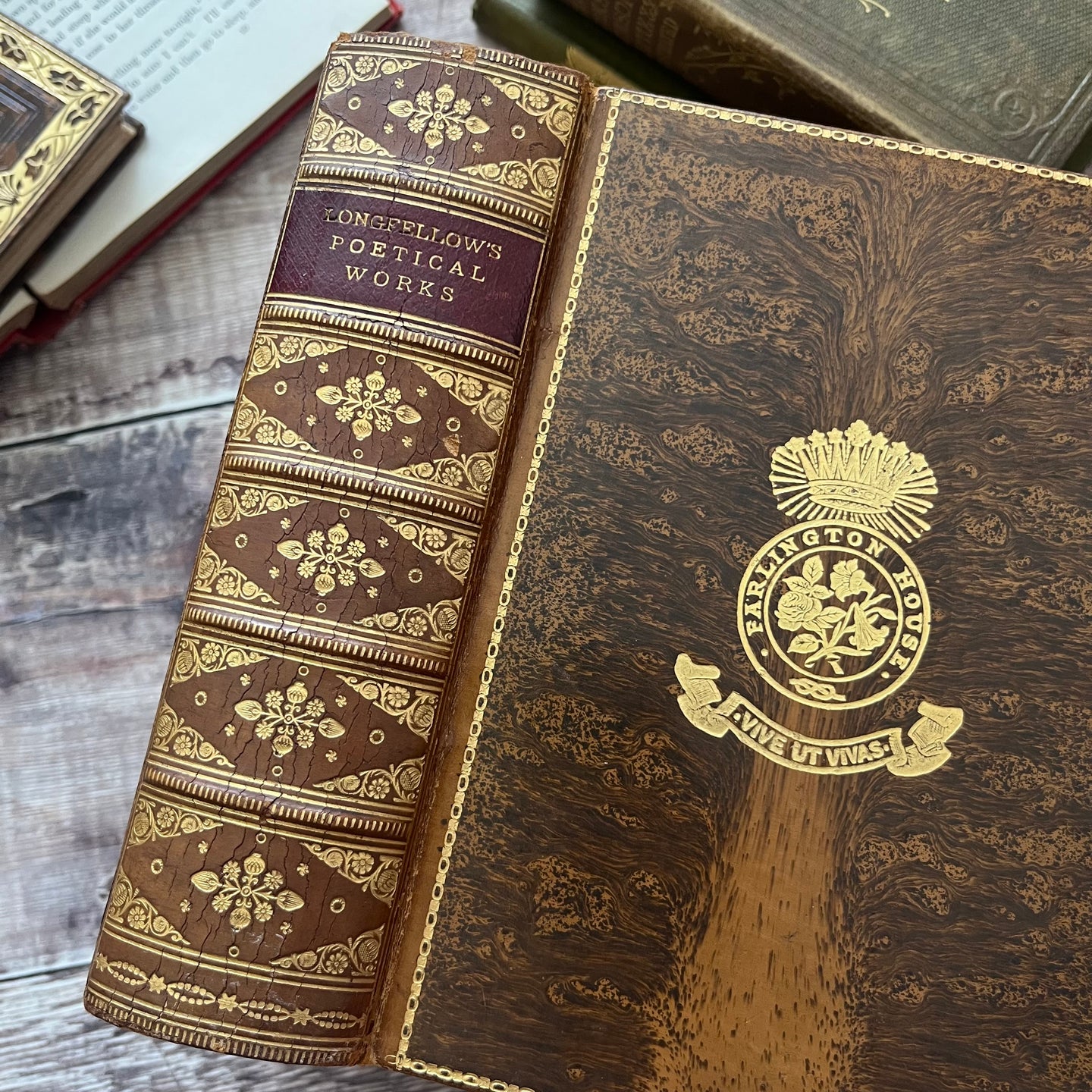 The Poetical Works of Henry Wadsworth Longfellow Beautiful Tree Calf Leather Book