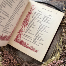 Load image into Gallery viewer, The Language and Poetry Of Flowers Antique Collectable Late Victorian Book Colour Plates
