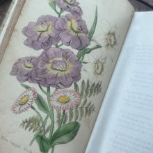 Load image into Gallery viewer, 1849 The Language of Flowers; With Hand Coloured Plates Rebound

