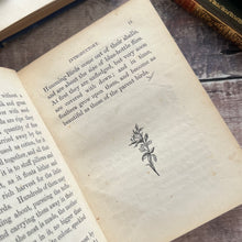Load image into Gallery viewer, 1874 Hummingbirds by Mary and Elizabeth Kirby; Scarce FIRST Edition Victorian Book
