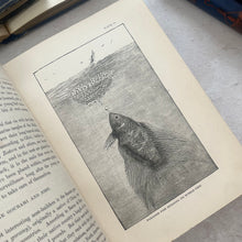 Load image into Gallery viewer, Marvels of Animal Life by Charles Frederick Holder; Stunning Victorian Illustrated Book
