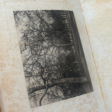 Load image into Gallery viewer, 1900 Our Forests and Woodlands by John Nisbet Limited Full Vellum Edition
