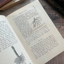 Load image into Gallery viewer, Wild Flowers and Where to Find And How to Know Them by Spencer Thomson
