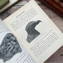 Load image into Gallery viewer, The Birds and Their Story by R.B.Lodge A Book for Young Folk Edwardian Illustrated
