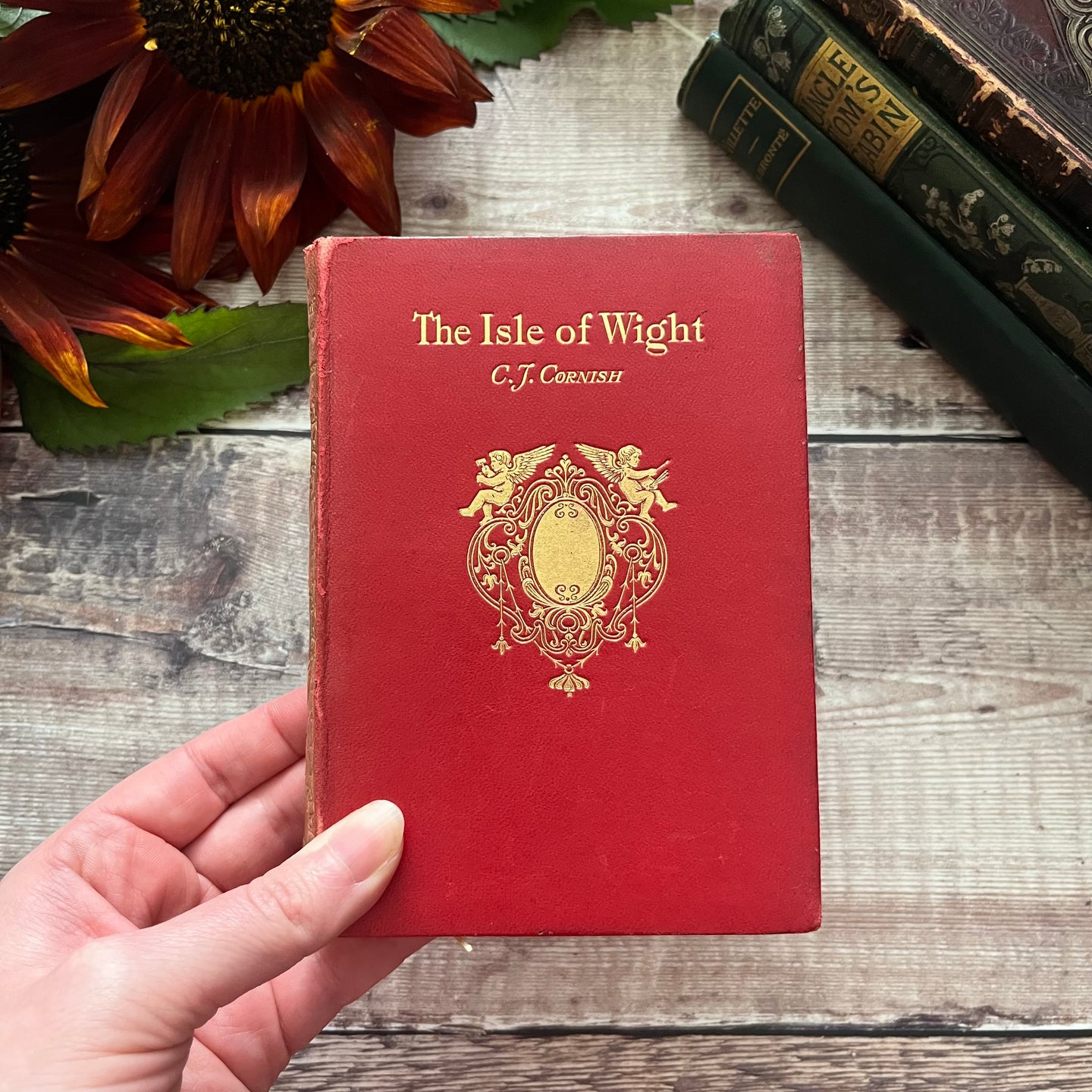 1909 The Isle of Wight by CJ Cornish Full Leather Edwardian Book