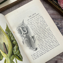Load image into Gallery viewer, Familiar Wild Flowers First Series by Edward Hulme; Half Leather Illustrated Book
