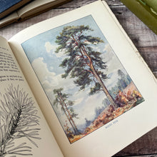 Load image into Gallery viewer, Our Friendly Trees by Barbara Briggs; Vintage Illustrated Book with Dust Jacket
